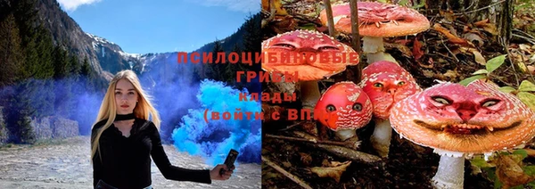 мет Аркадак