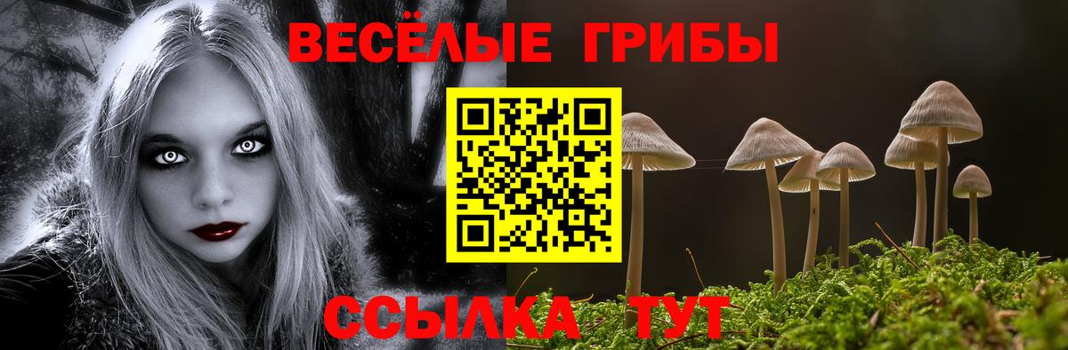 Удомля  Псилоцибиновые грибы GOLDEN TEACHER  Псилоцибиновые грибы Psilocybe  Вход с VPN 